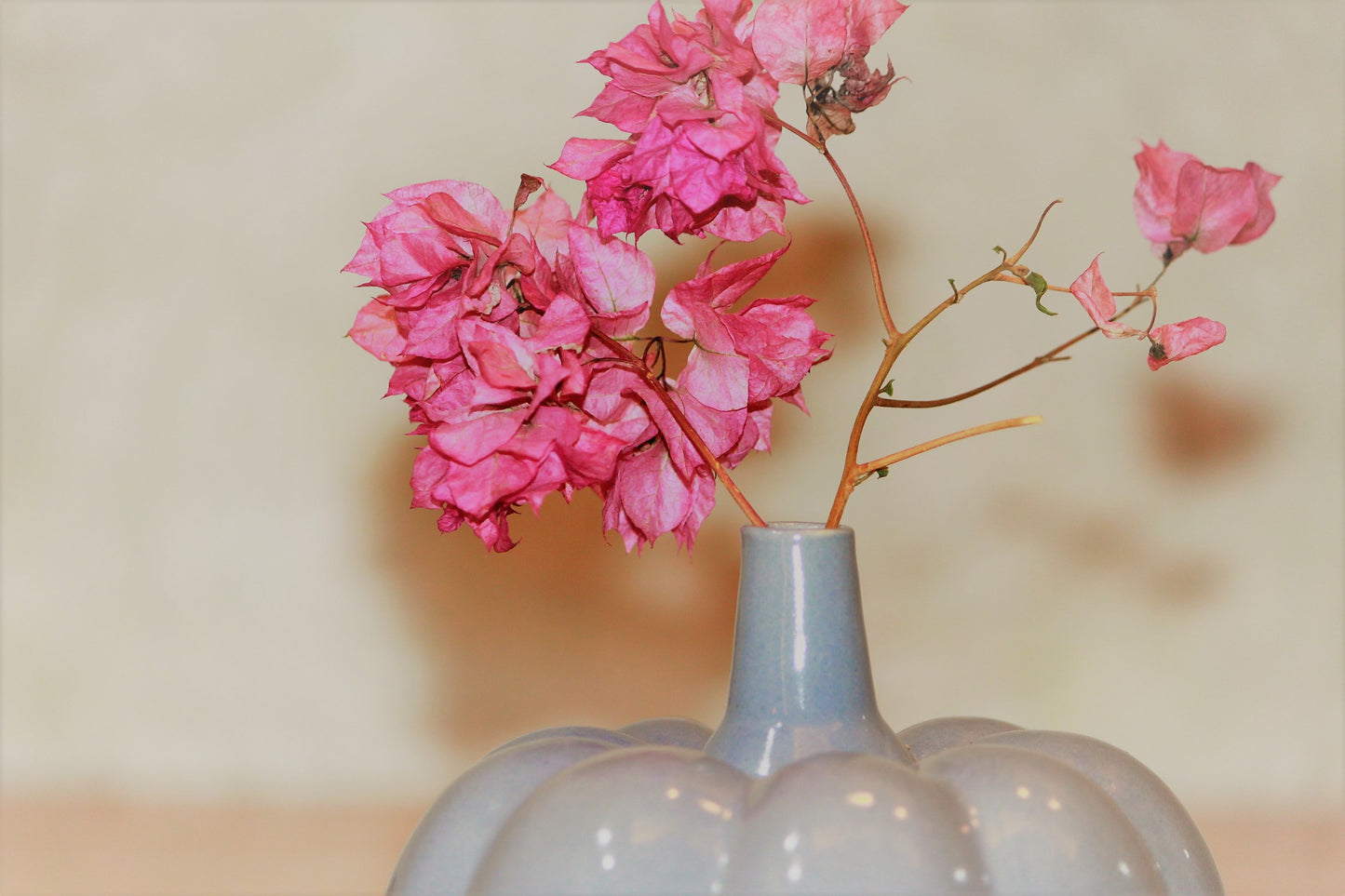 The Pumpkin Bud Vase